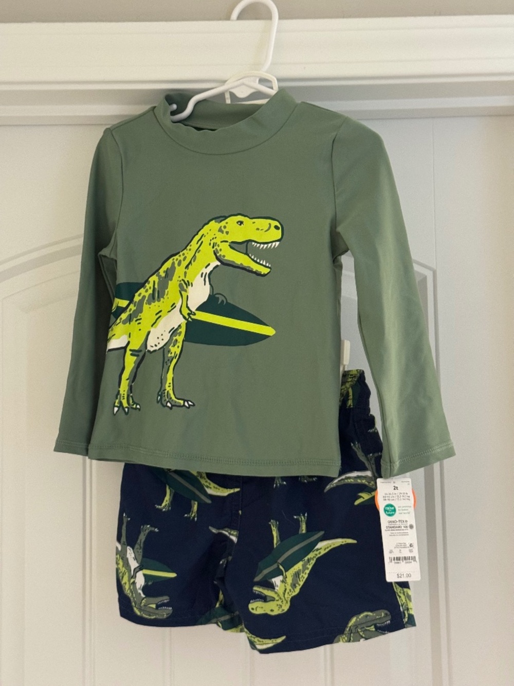Carter’s 2T Dinosaur Swim set